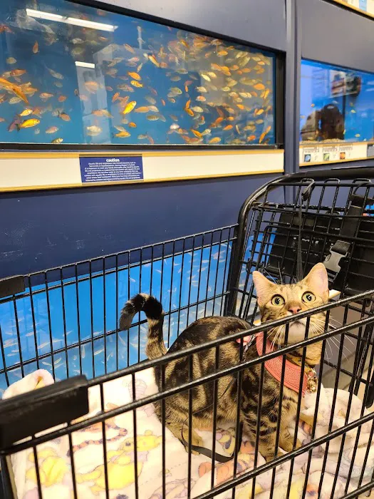Petco Picture 6