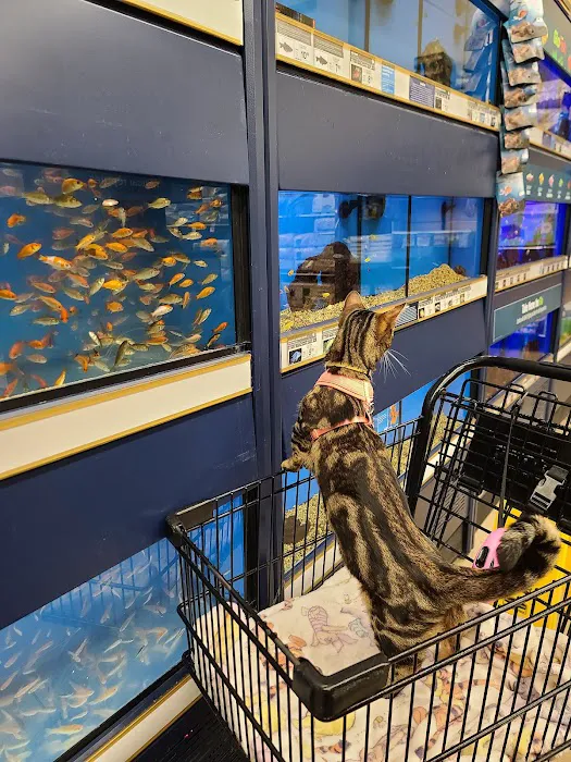 Petco Picture 10