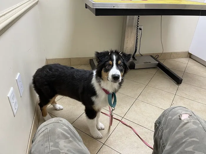 Marriottsville Animal Hospital Picture 2
