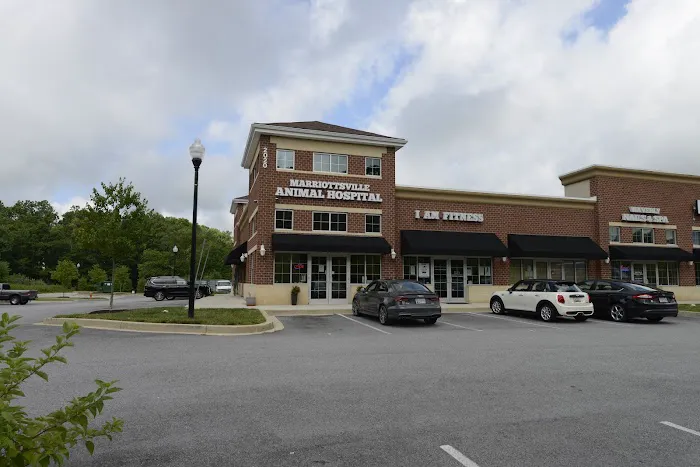 Marriottsville Animal Hospital Picture 9