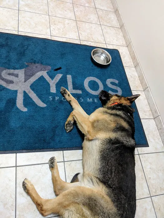 Skylos Sports Medicine - Ellicott City Picture 5