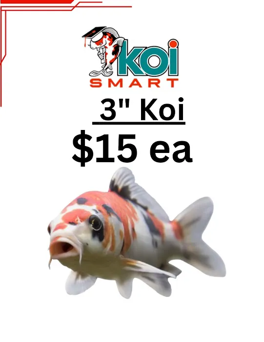 Koi Smart Pond Supply South Store Picture 2