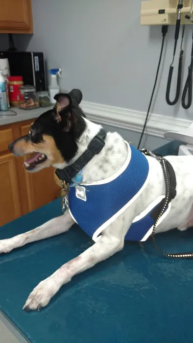 Emmitsburg Veterinary Hospital Picture 4