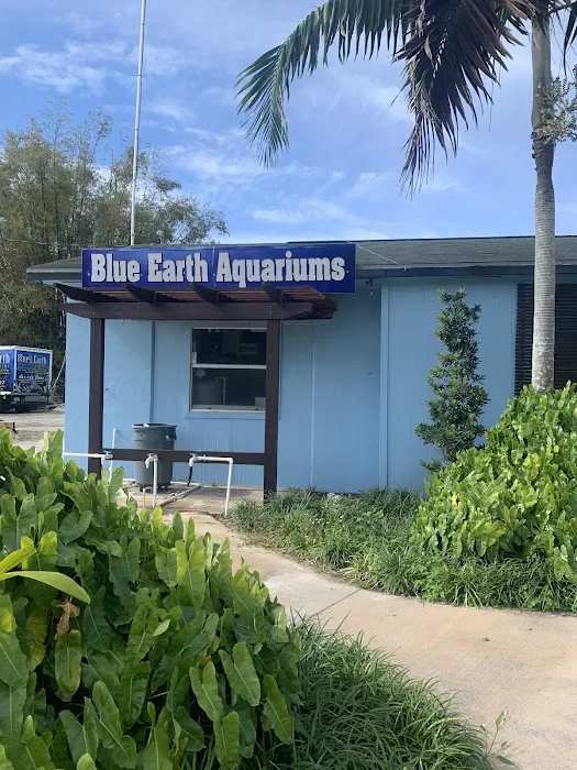 Blue Earth Corals & Aquariums Picture 1