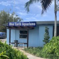 Blue Earth Corals & Aquariums ico
