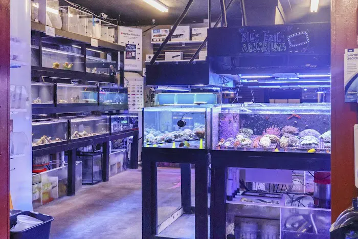 Blue Earth Corals & Aquariums Picture 6