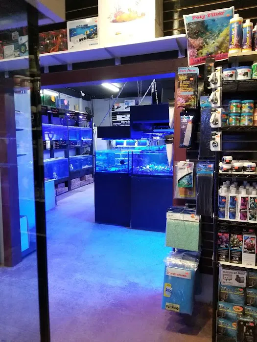 Blue Earth Corals & Aquariums Picture 9