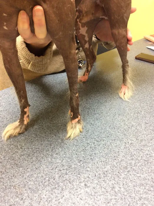 Catoctin Veterinary Clinic Picture 5