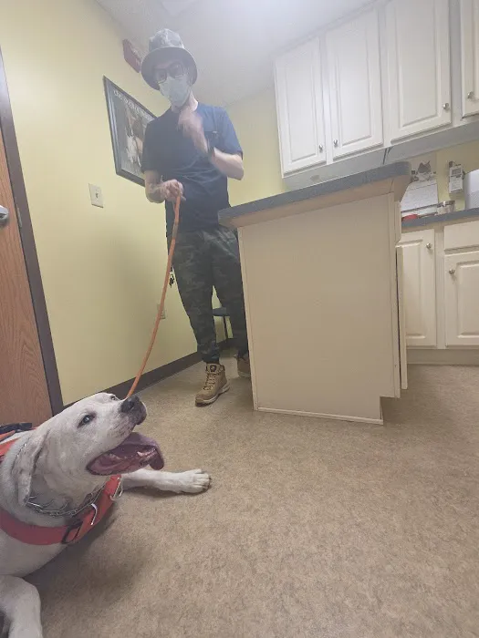 Catoctin Veterinary Clinic Picture 4