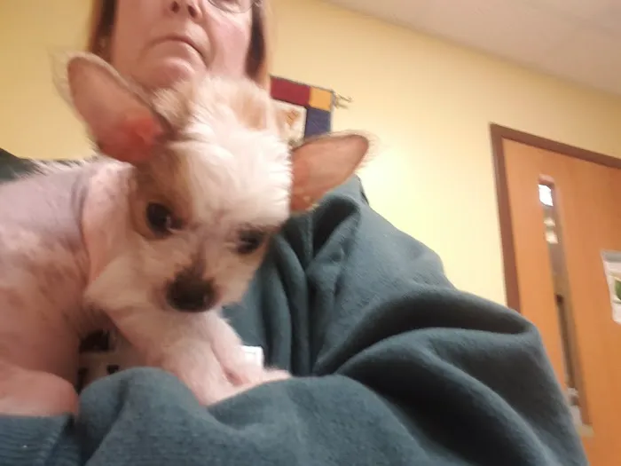 Catoctin Veterinary Clinic Picture 7