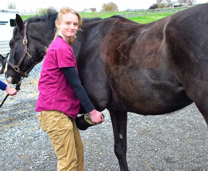 Walkersville Veterinary Clinic Picture 3