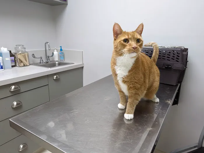 Walkersville Veterinary Clinic Picture 1