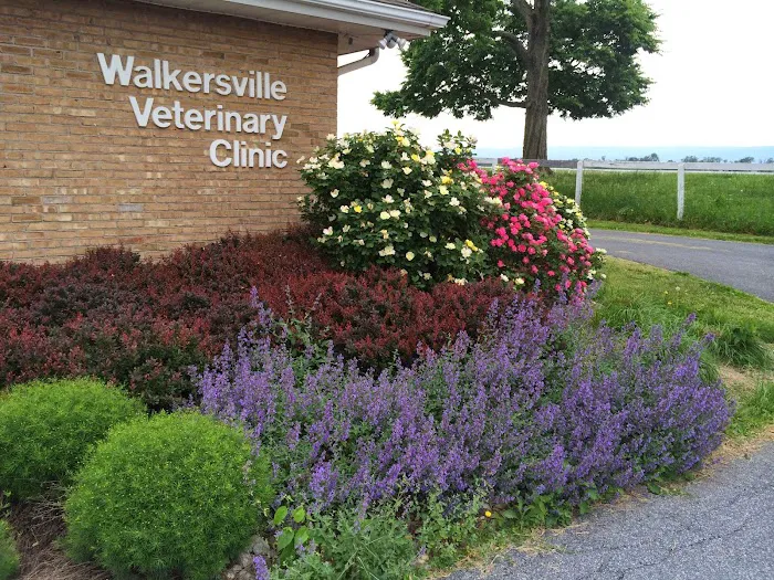 Walkersville Veterinary Clinic Picture 6