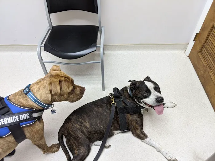 Walkersville Veterinary Clinic Picture 8