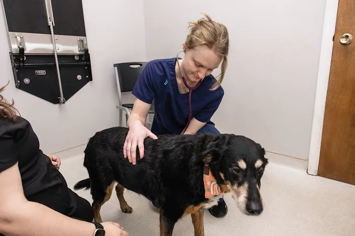 Walkersville Veterinary Clinic Picture 7