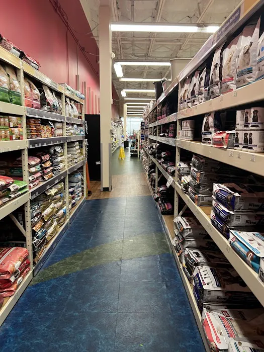 Pet Supermarket Picture 2