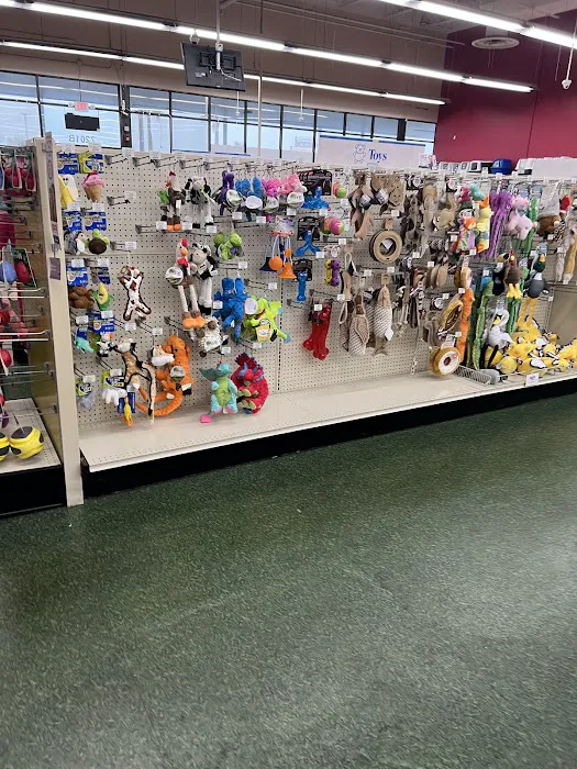 Pet Supermarket Picture 3