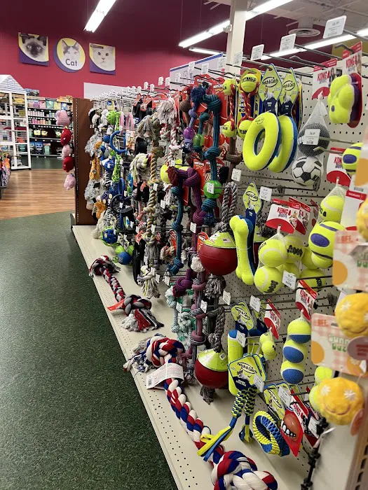 Pet Supermarket Picture 6