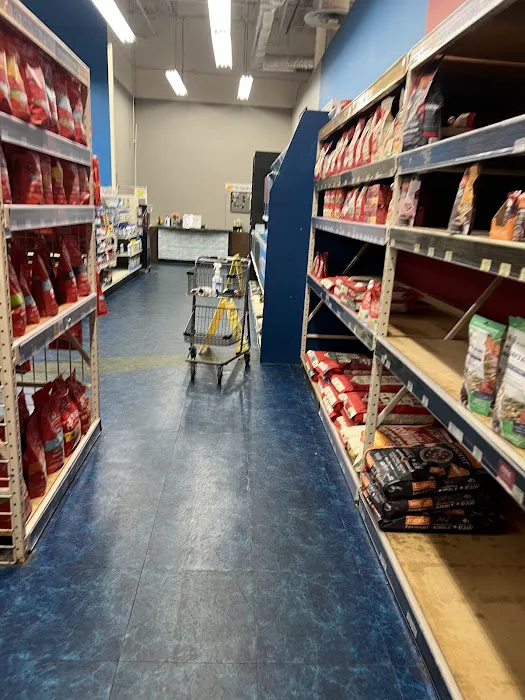 Pet Supermarket Picture 5