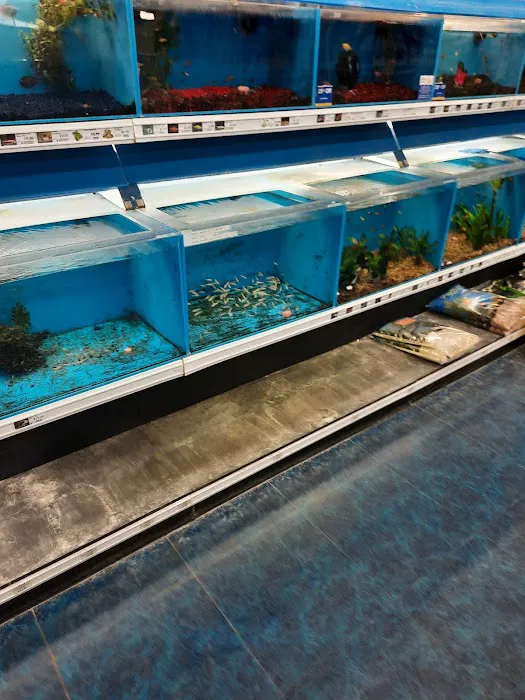 Pet Supermarket Picture 4