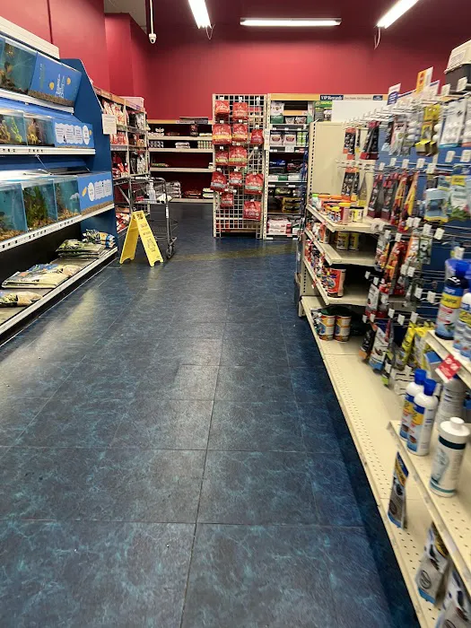 Pet Supermarket Picture 9