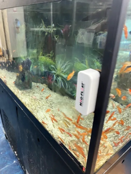 Pet Supermarket Picture 7