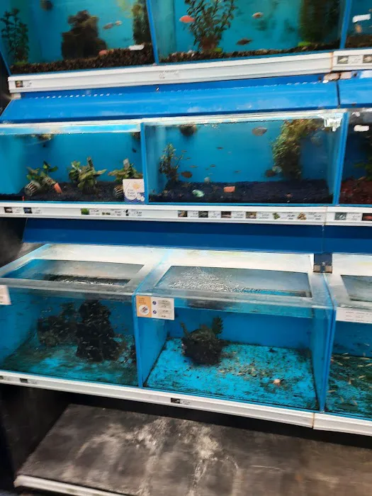 Pet Supermarket Picture 10