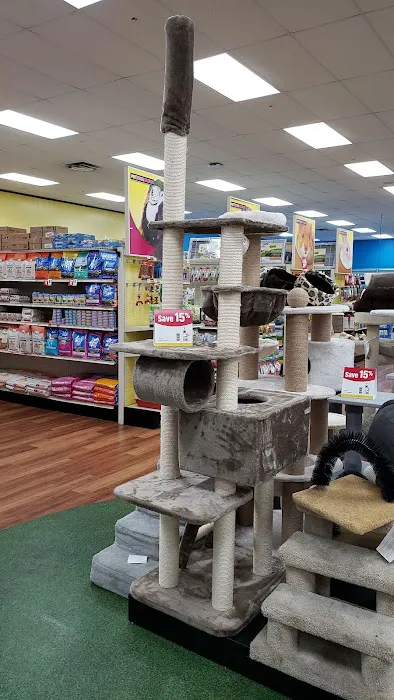 Pet Supermarket Picture 3