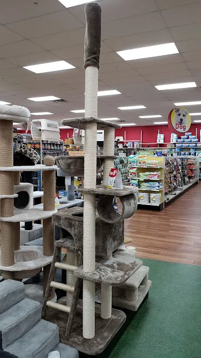 Pet Supermarket Picture 2