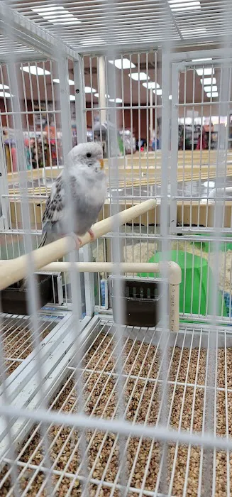 Pet Supermarket Picture 8