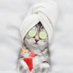 PetTides LLC