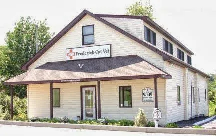Frederick Cat Vet Picture 3