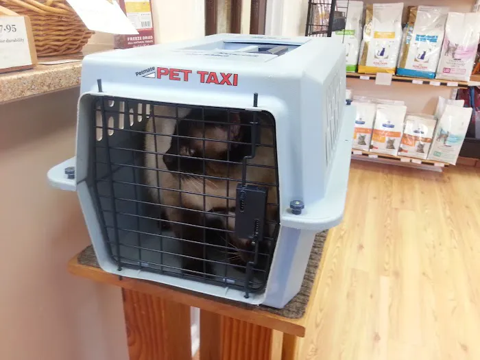 Frederick Cat Vet Picture 6