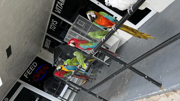 Palenzuela Feed Pet Store Picture 2