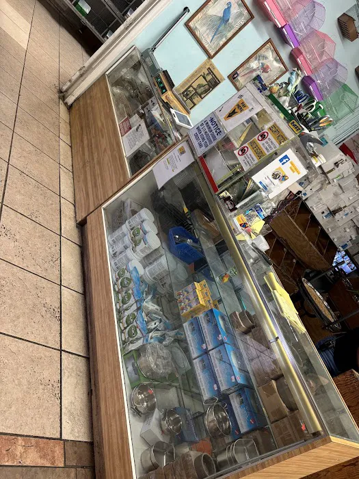 Palenzuela Feed Pet Store Picture 5