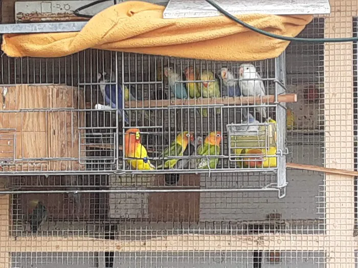 Palenzuela Feed Pet Store Picture 4