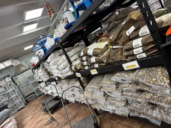 Palenzuela Feed Pet Store Picture 9
