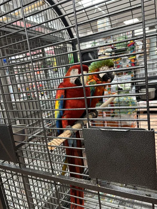 Palenzuela Feed Pet Store Picture 6