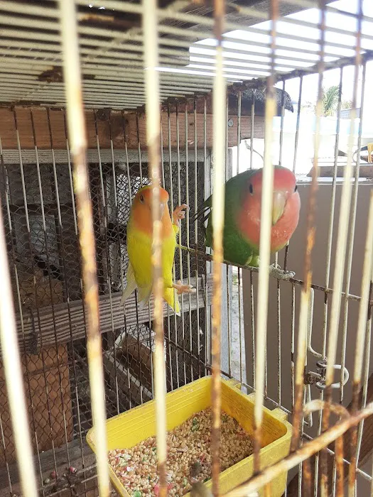 Palenzuela Feed Pet Store Picture 10
