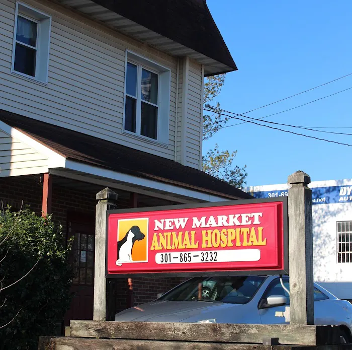 New Market Animal Hospital Picture 2