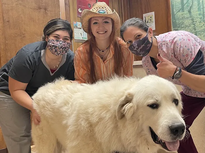 New Market Animal Hospital Picture 6