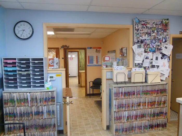 New Market Animal Hospital Picture 5