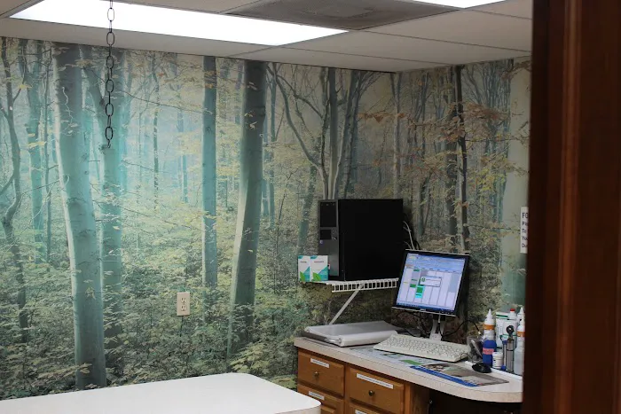 New Market Animal Hospital Picture 9