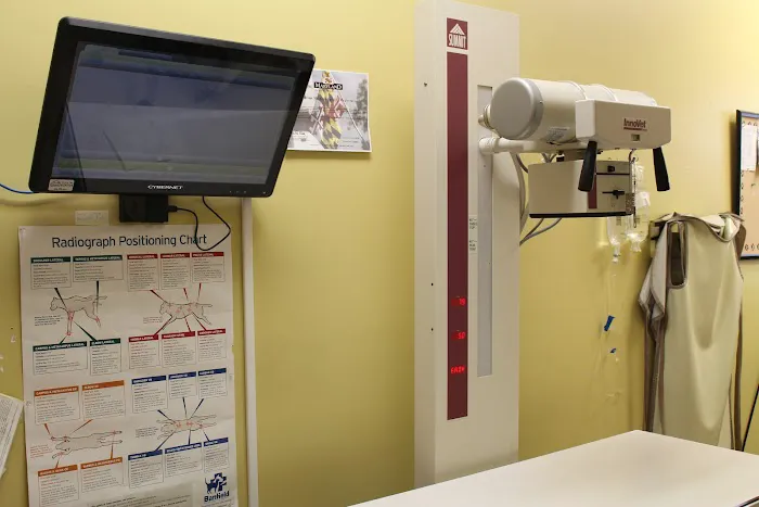 New Market Animal Hospital Picture 8