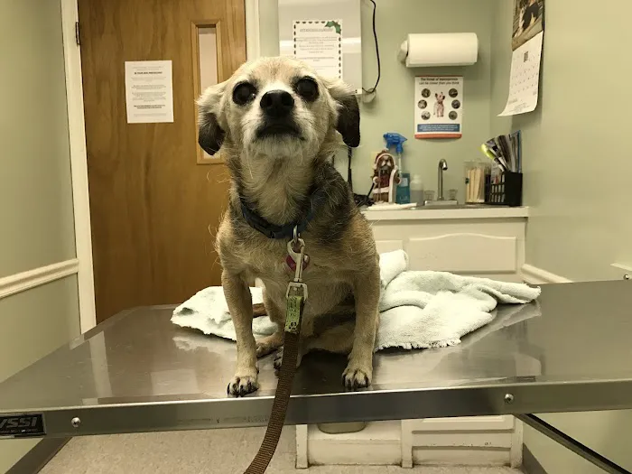 Heritage Animal Hospital Picture 1