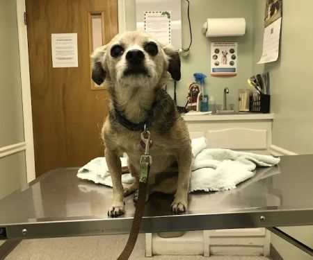 Heritage Animal Hospital