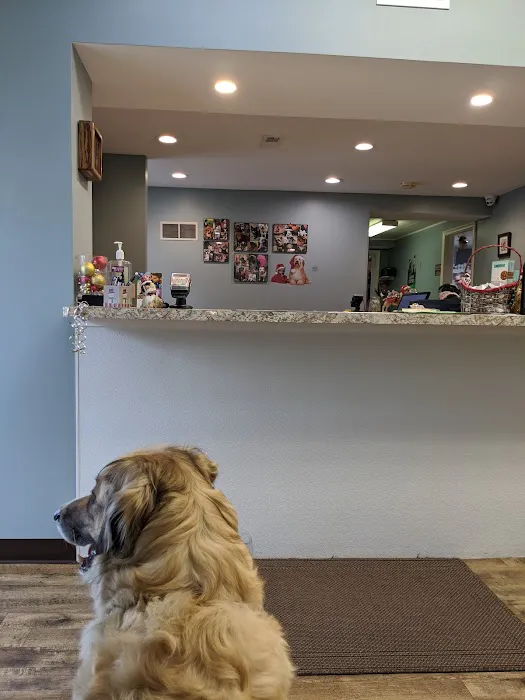 Heritage Animal Hospital Picture 6