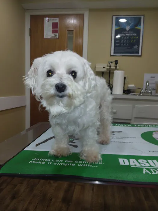 Heritage Animal Hospital Picture 8