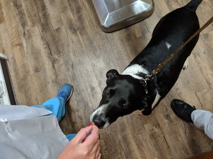 Heritage Animal Hospital Picture 10