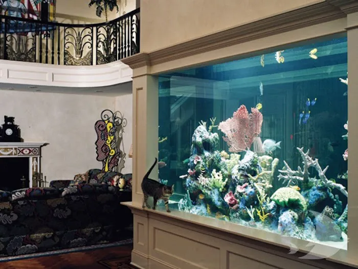 Aquarium Design International Picture 3